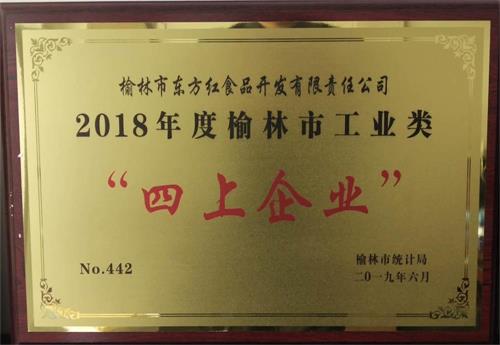 2018年度榆林市工業類“四上企業”（東方紅）